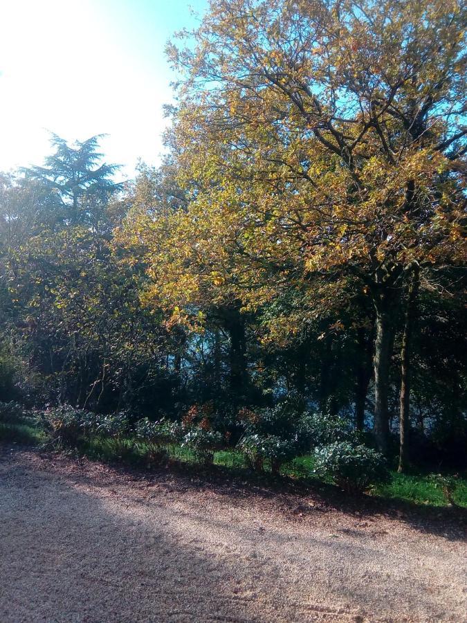 Le Manoir Des Rochers Bouere Exterior photo