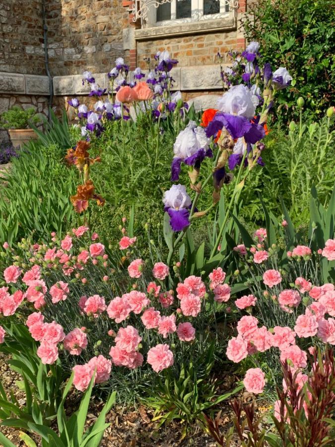 Le Manoir Des Rochers Bouere Exterior photo